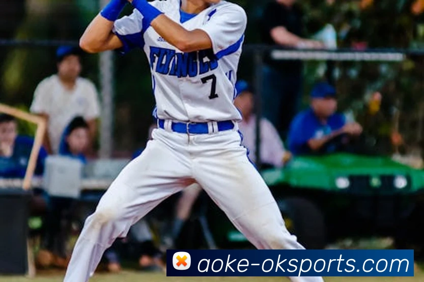 aoke：全球职业竞技赛事资讯与实时数据交互门户平台生态图